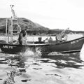 Extra picture for advert 148973