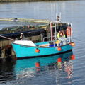 Extra picture for advert 148973