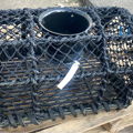 Thumbnail for picture 3