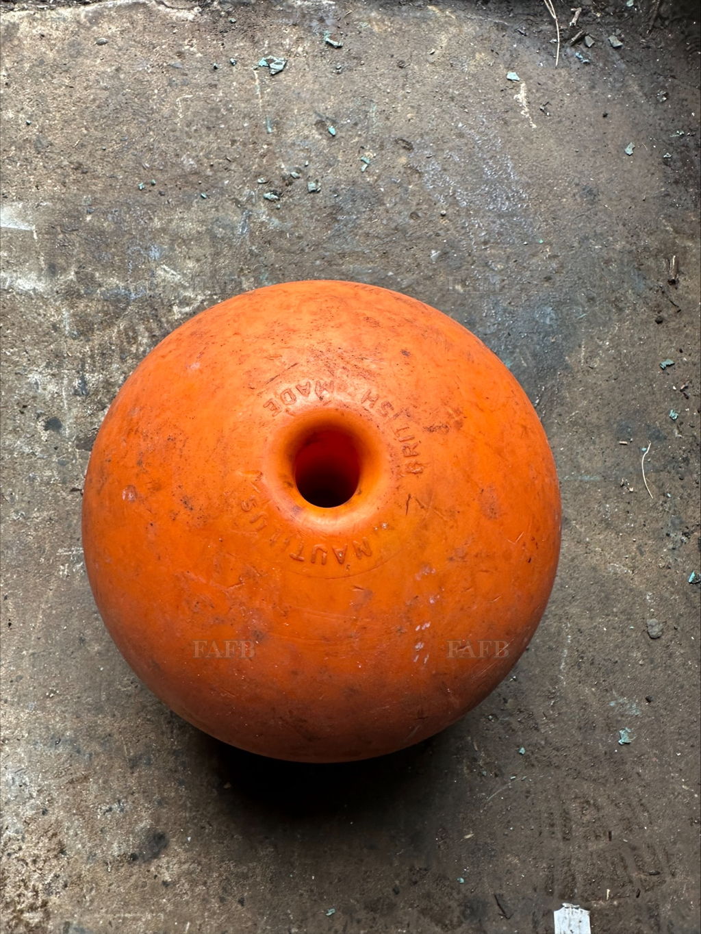 11 inch Nautilus trawl balls