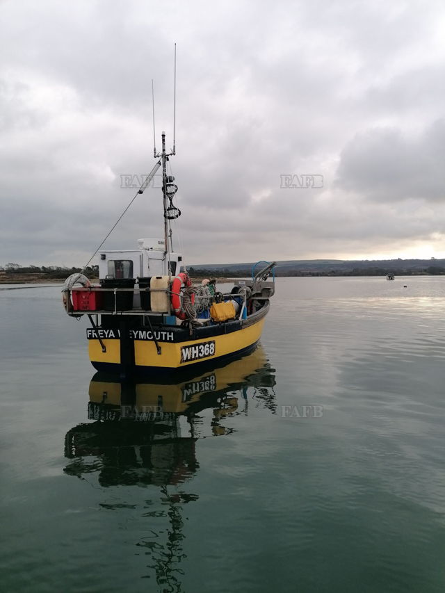 Large picture for advert 139979