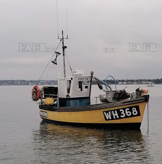 Large picture for advert 139979