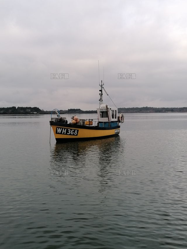 Large picture for advert 139979