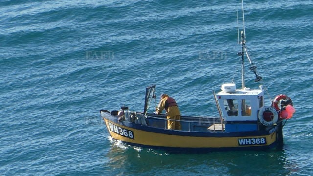 Large picture for advert 139979