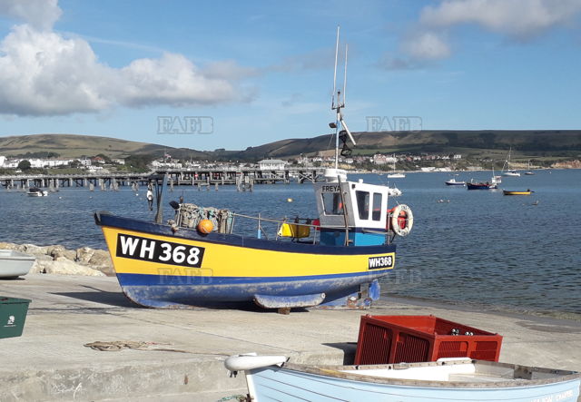 Large picture for advert 139979