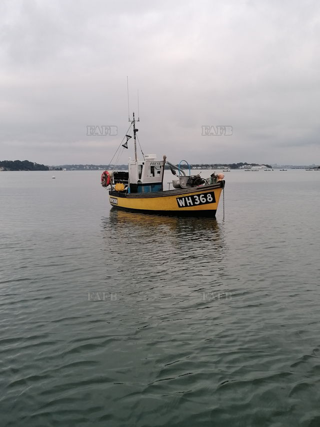 Large picture for advert 139979