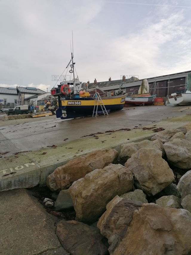 Large picture for advert 139979