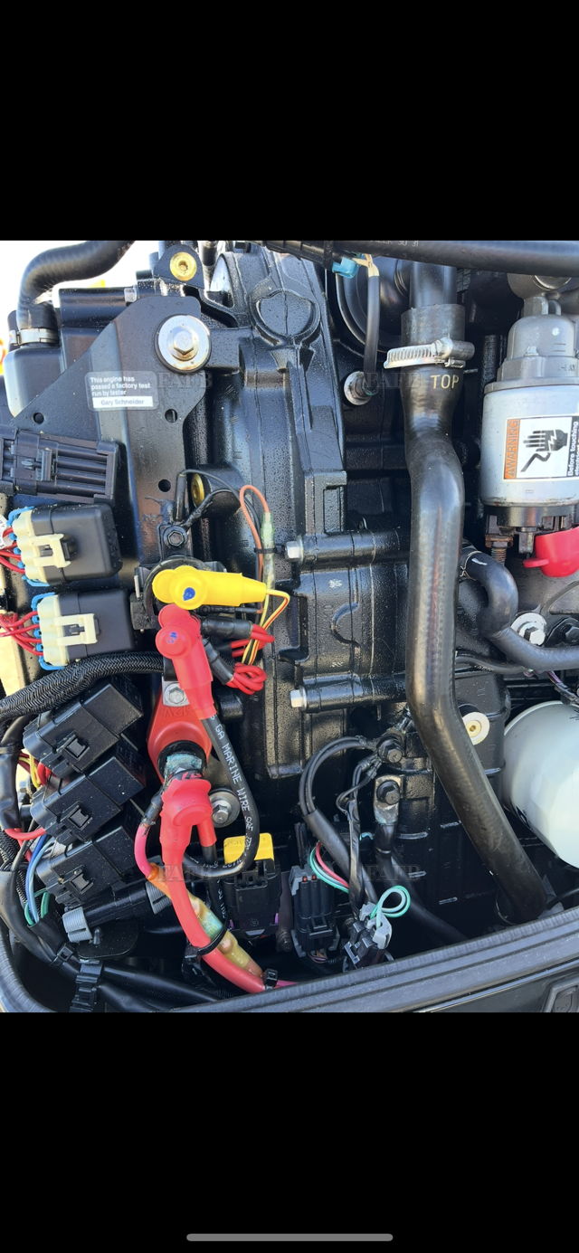 Large picture for advert 141098