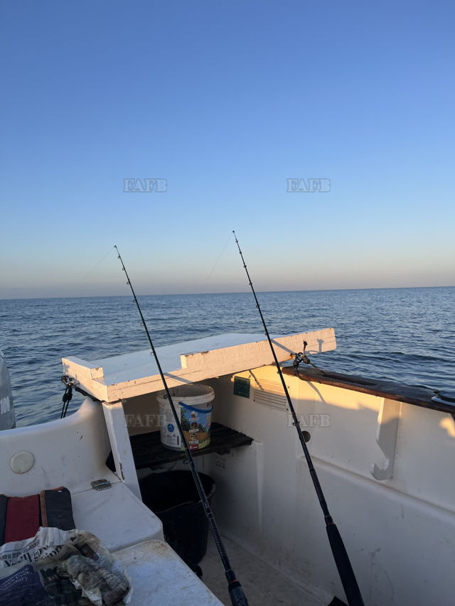 Large picture for advert 141098