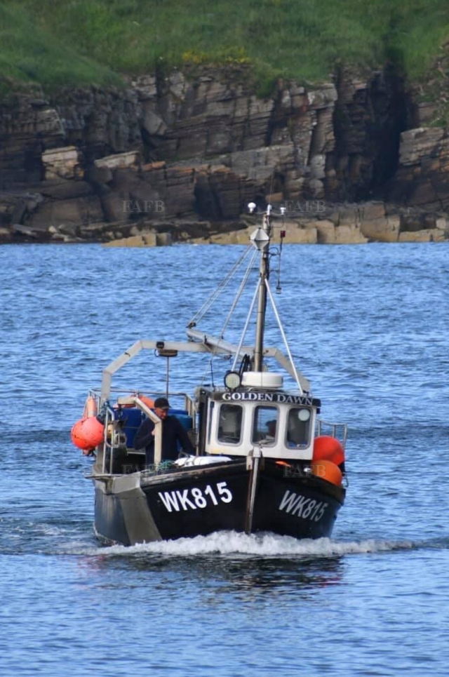 Large picture for advert 141980