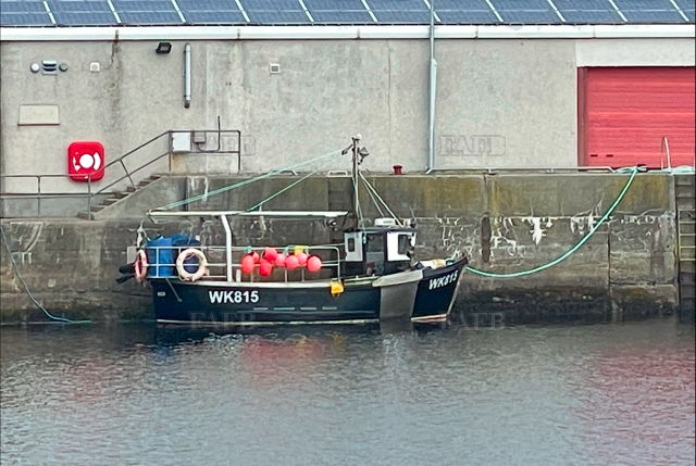 Large picture for advert 141980