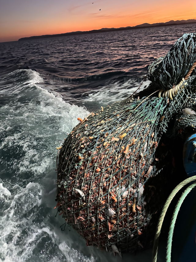 Large picture for advert 143980