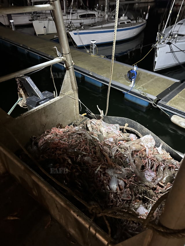 Large picture for advert 143980