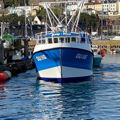 Extra picture for advert 146980