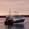 Extra picture for advert 146980