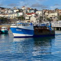 Extra picture for advert 146980