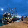 Extra picture for advert 146980