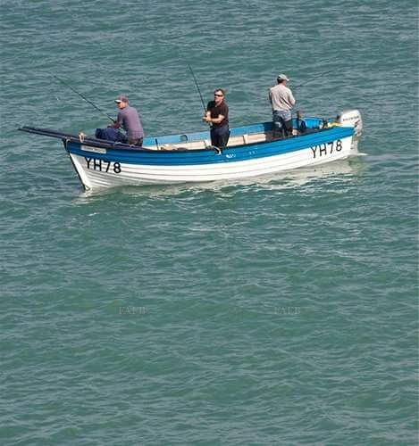 Large picture for advert 137982