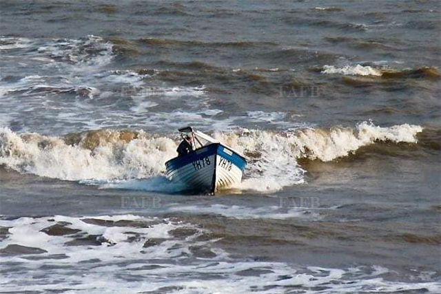 Large picture for advert 137982