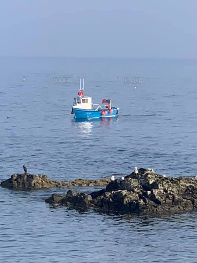 Large picture for advert 137982