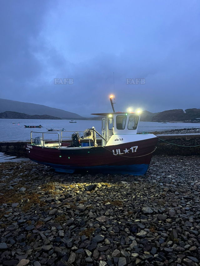 Large picture for advert 137982