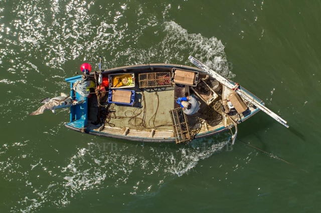 Large picture for advert 137982