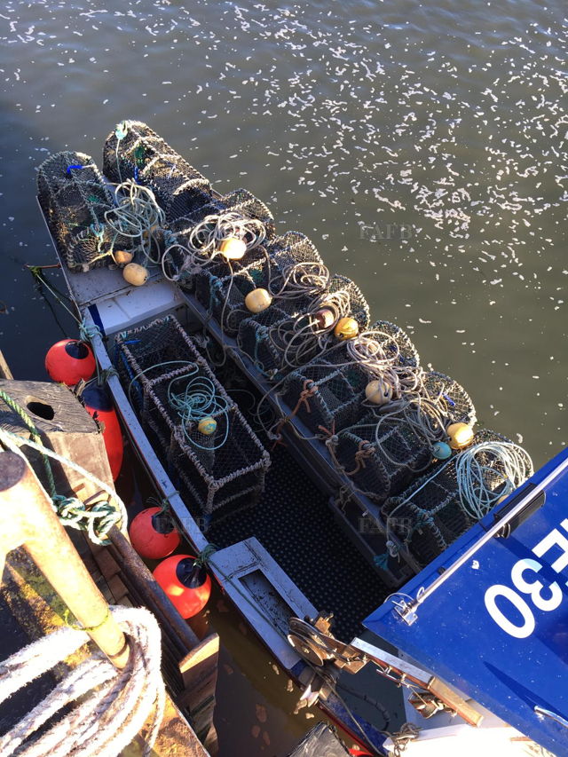 Large picture for advert 137982