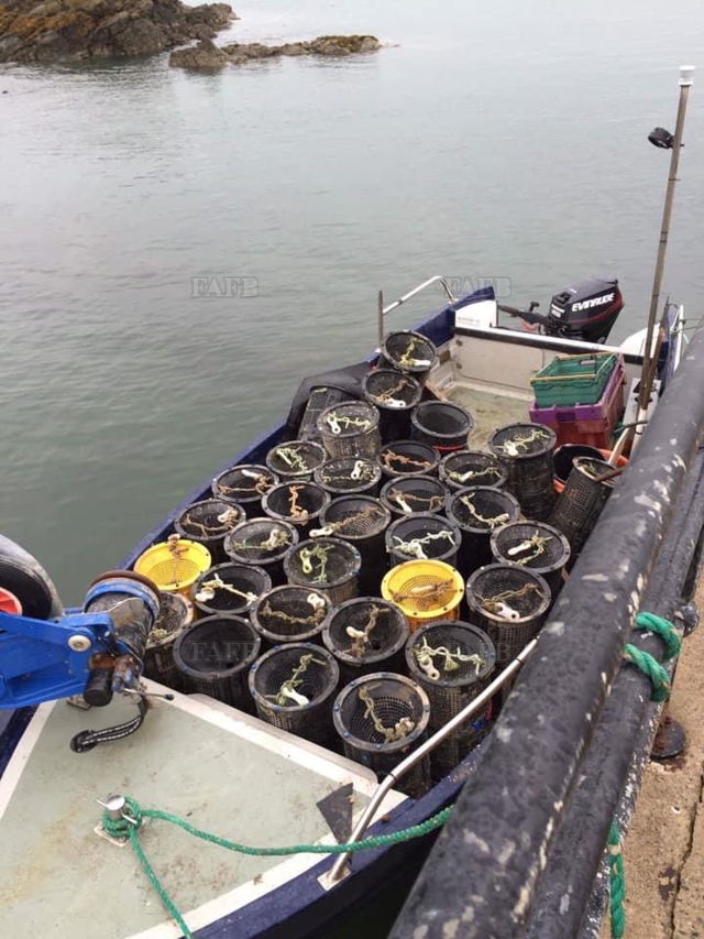 Large picture for advert 137982