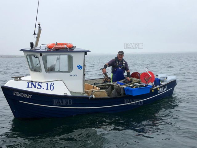 Large picture for advert 137982