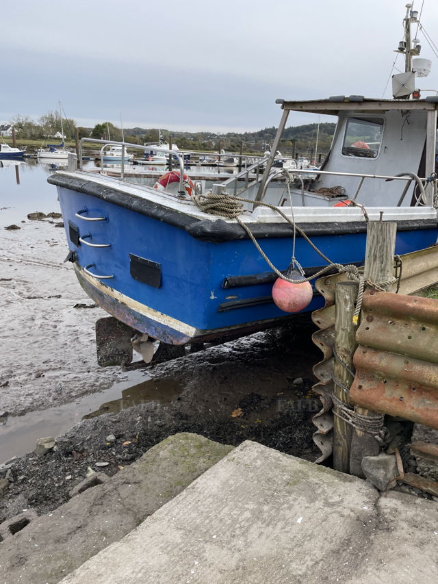 Large picture for advert 131983