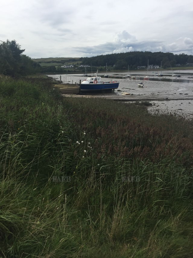 Large picture for advert 131983