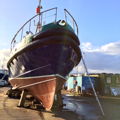 Thumbnail for picture 5