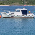 Extra picture for advert 142984