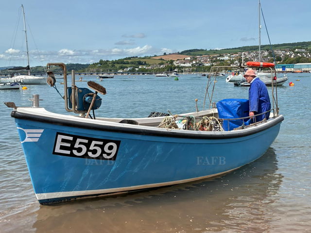 Large picture for advert 146985