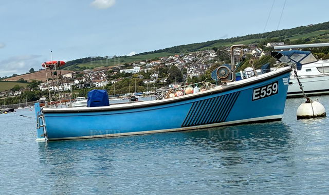 Large picture for advert 146985
