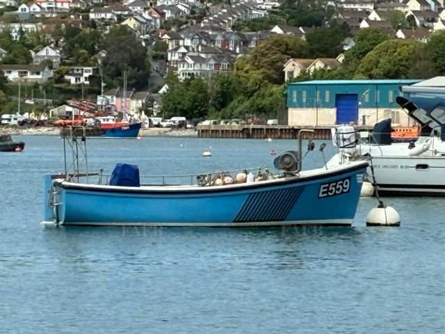 Large picture for advert 146985