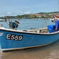 Extra picture for advert 146985