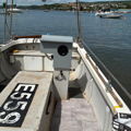 Extra picture for advert 146985