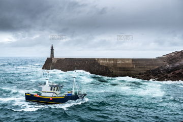 Main picture for advert 145986