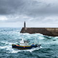 Extra picture for advert 145986