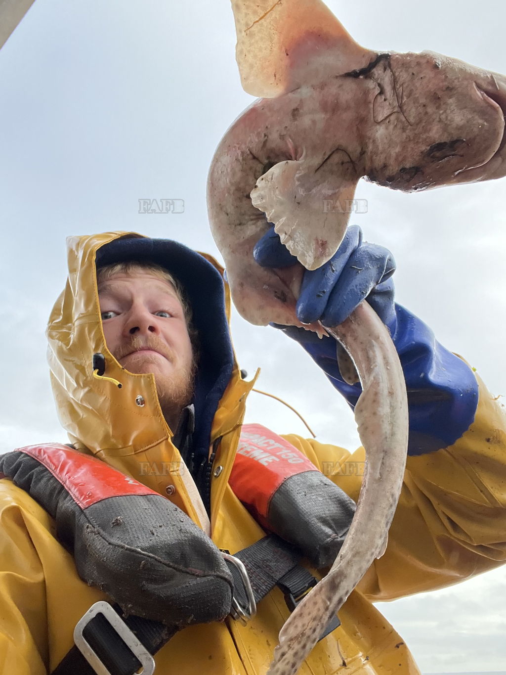Deckhand