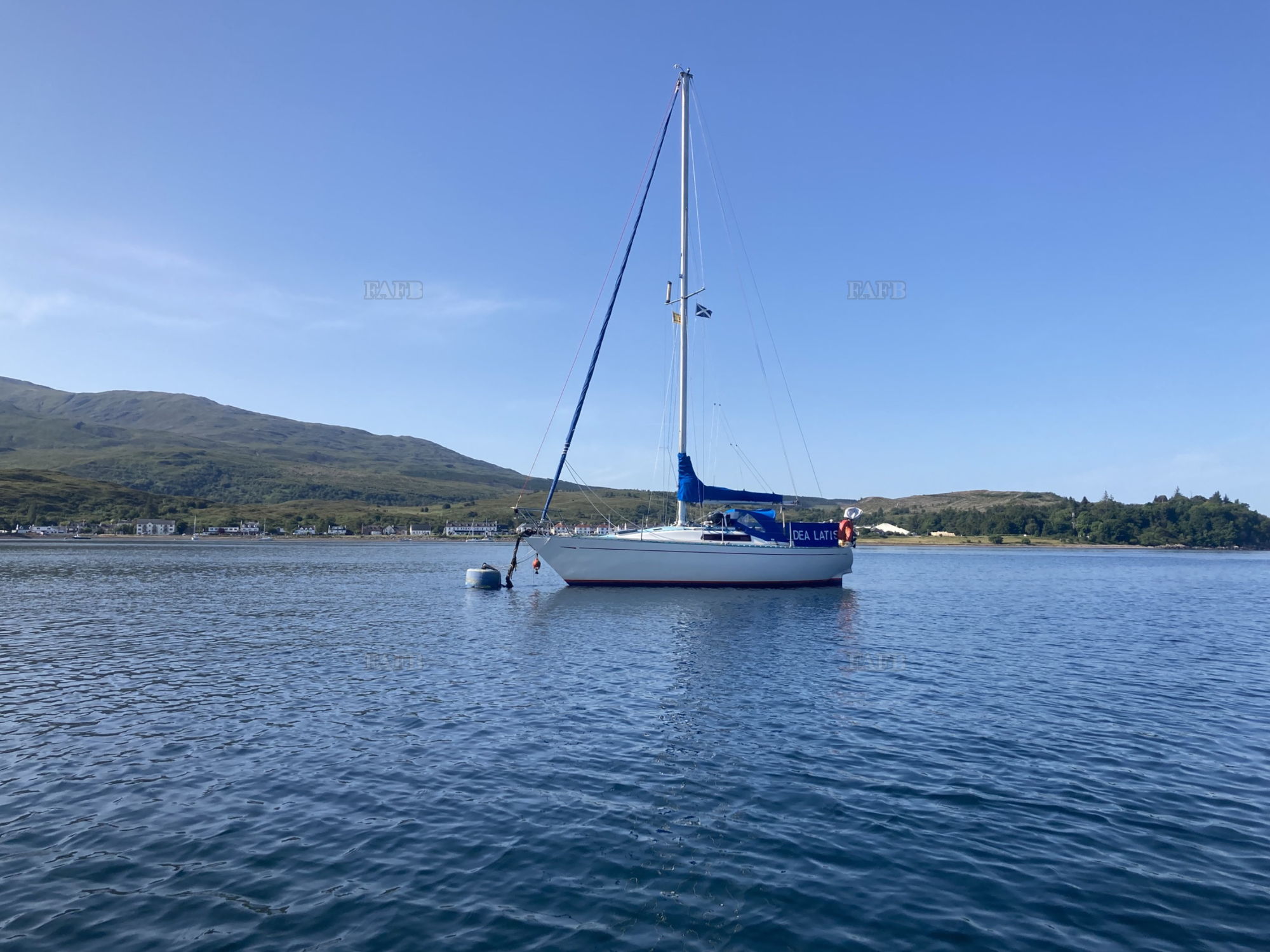 Large picture for advert 146987