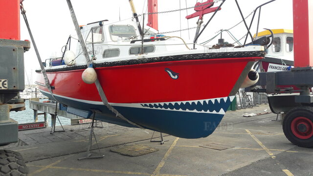 Large picture for advert 113987