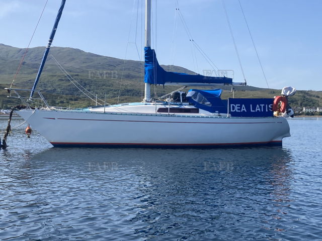 Large picture for advert 146987