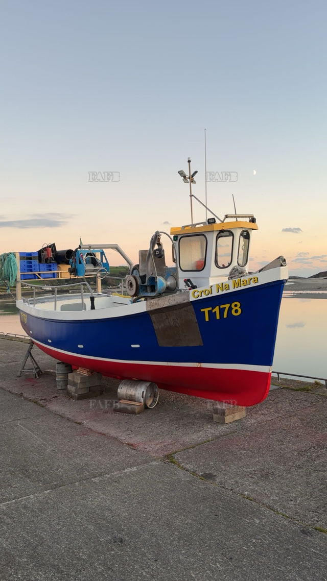 Large picture for advert 148987