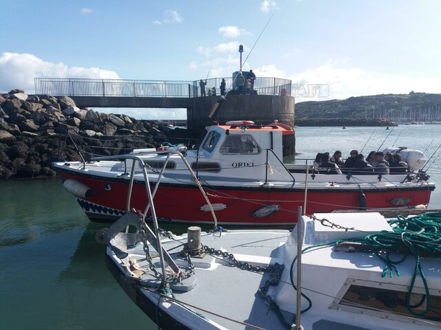 Large picture for advert 113987