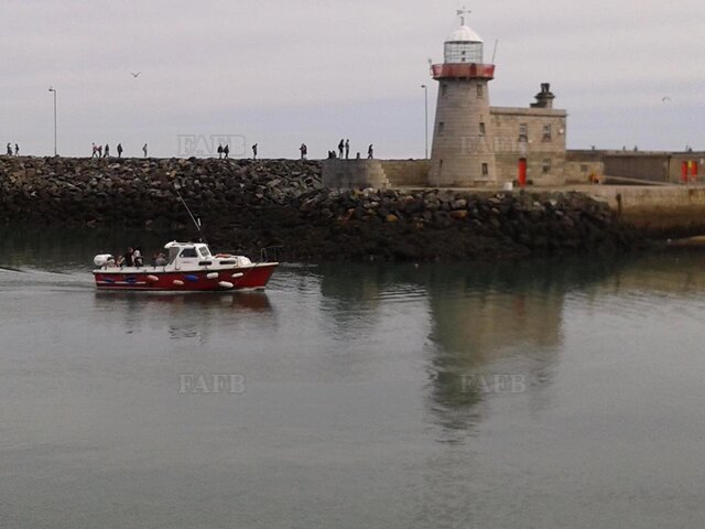 Large picture for advert 113987