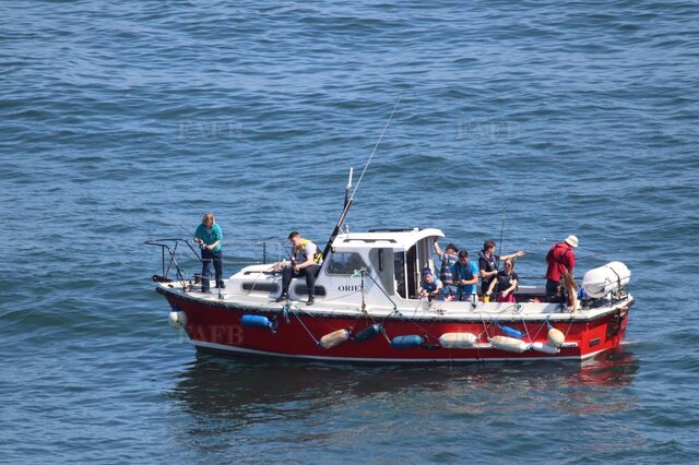 Large picture for advert 113987