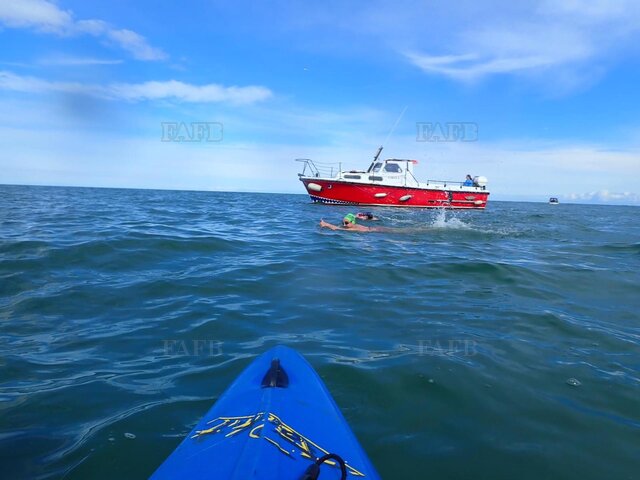 Large picture for advert 113987