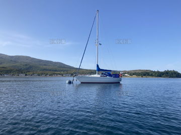 Main picture for advert 146987